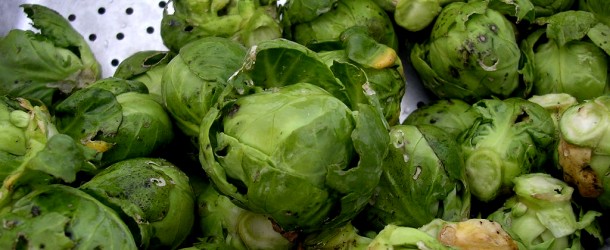 Brussels Sprouts, Don’t be a Hater