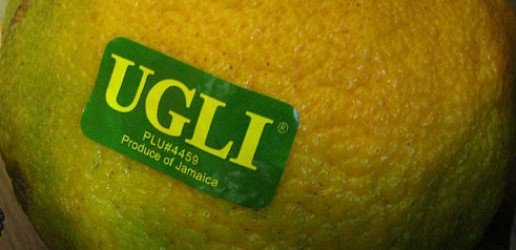 Ugli Fruit: A Strange Citrus