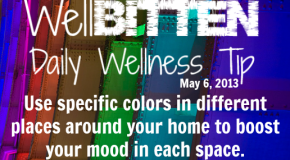 Wellbitten Wellness Tip: Paint your Home for your Mood