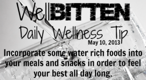 WellBitten Wellness Tip: Foods that Keep you Hydrated