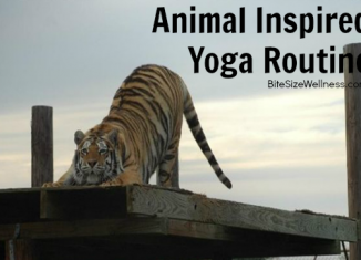Animal Inspired Yoga Routine