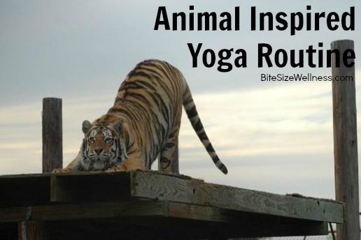 Animal Inspired Yoga Routine