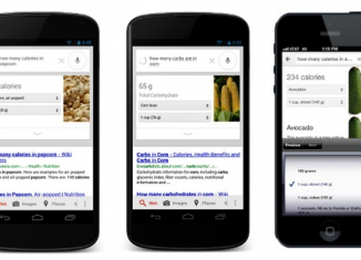 Google Nutrition Information