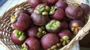 Mad about Mangosteens
