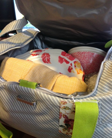 Picnic Bag from Target