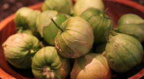 Weekly Bite: Tomatillos – Not Green Tomatoes