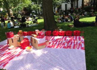 Picnic in the Park with Target