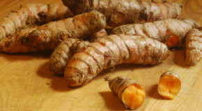 Turmeric: A Spice with Many Benefits