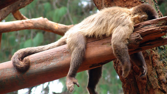 procrastination-busy-work-schedule