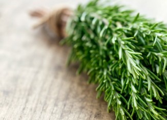Daily Bite Wellness Tip - Smell Rosemary for Energy - Featured Image